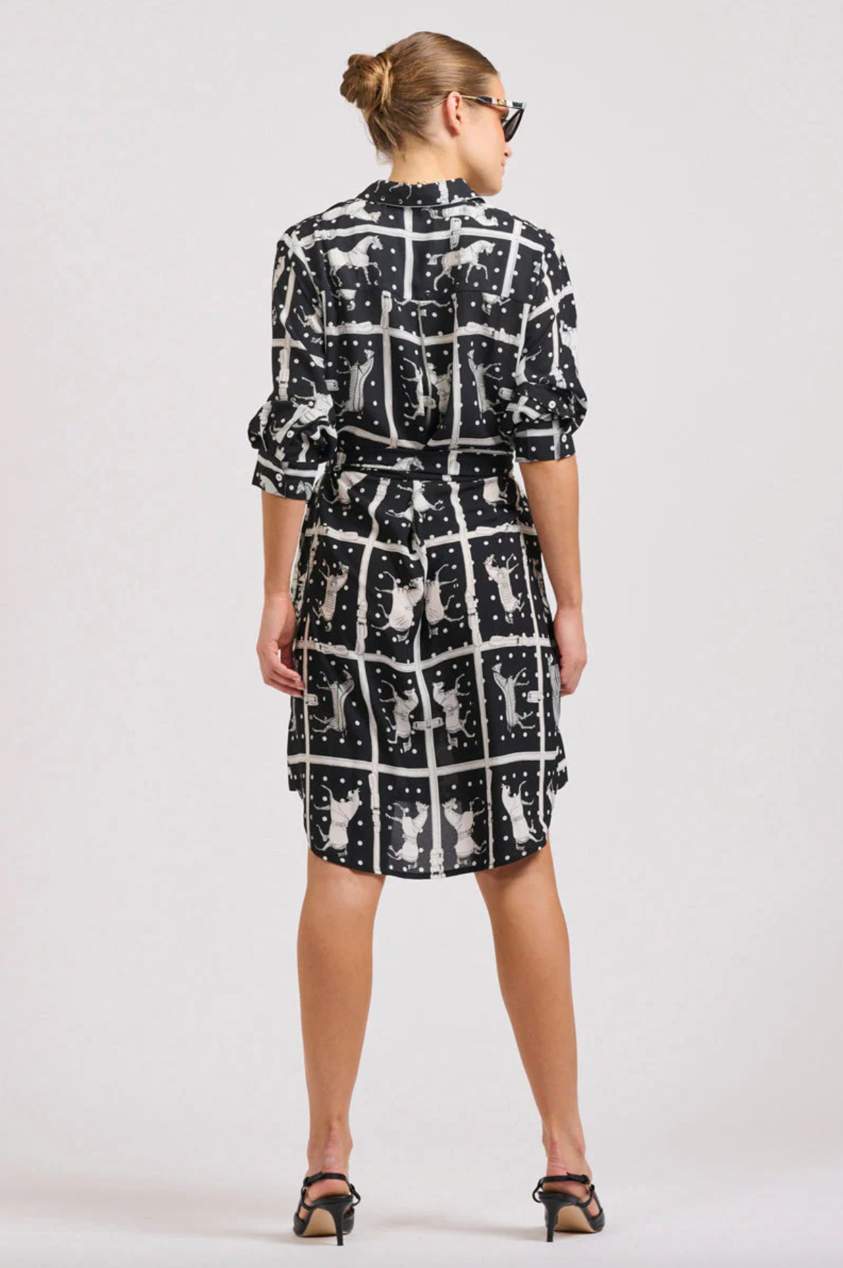 The Classic Shirt Dress- Horse