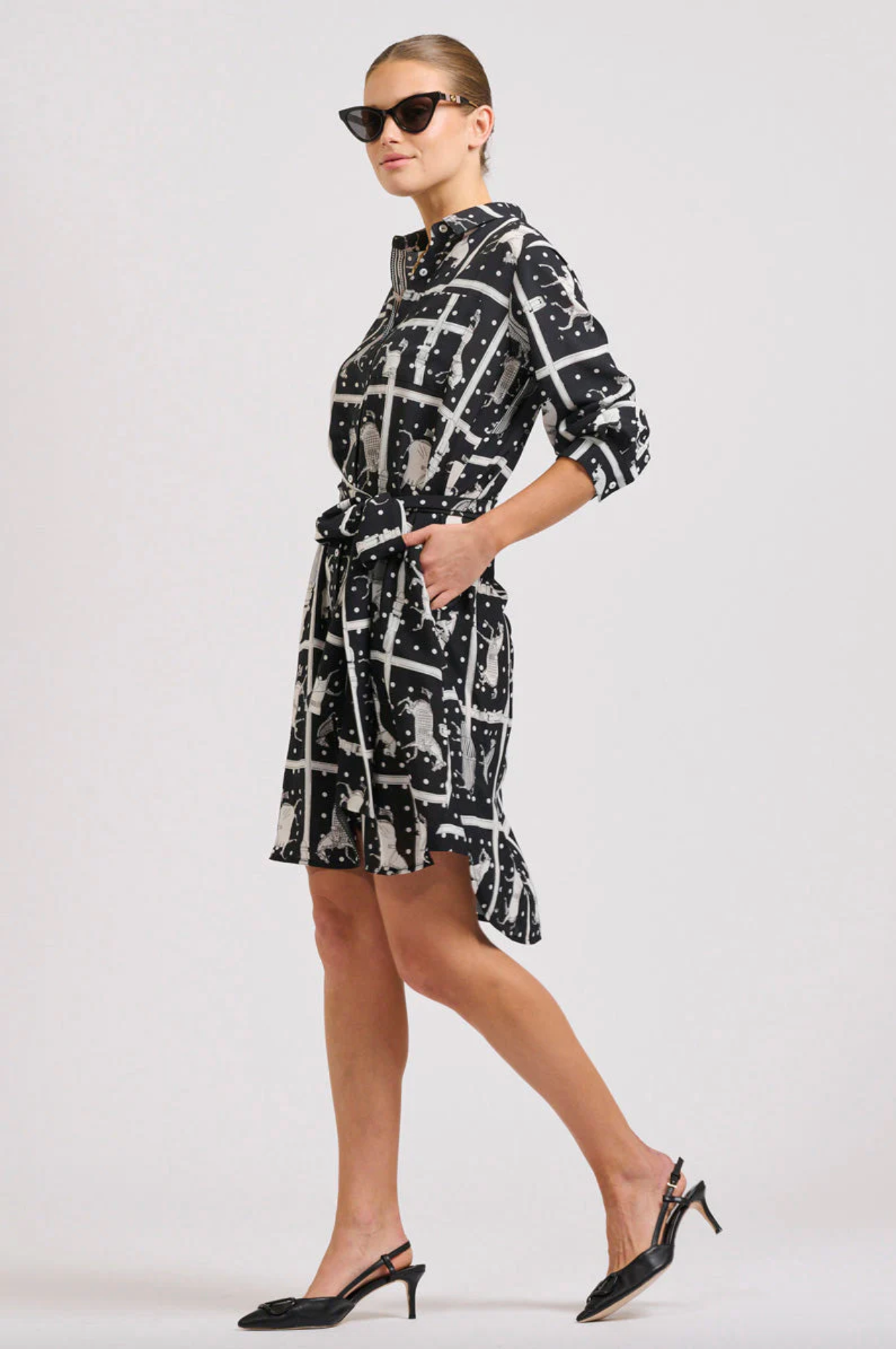 The Classic Shirt Dress- Horse