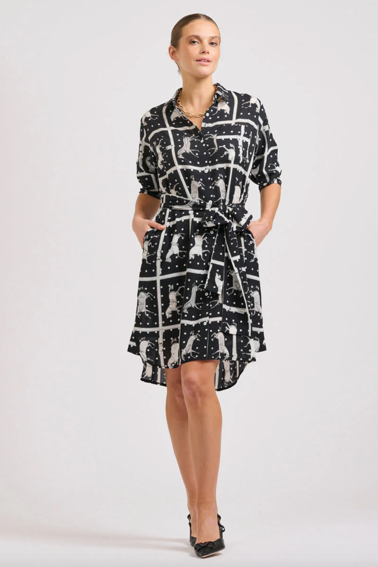 The Classic Shirt Dress- Horse