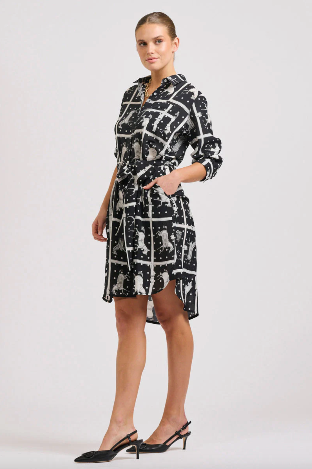 The Classic Shirt Dress- Horse